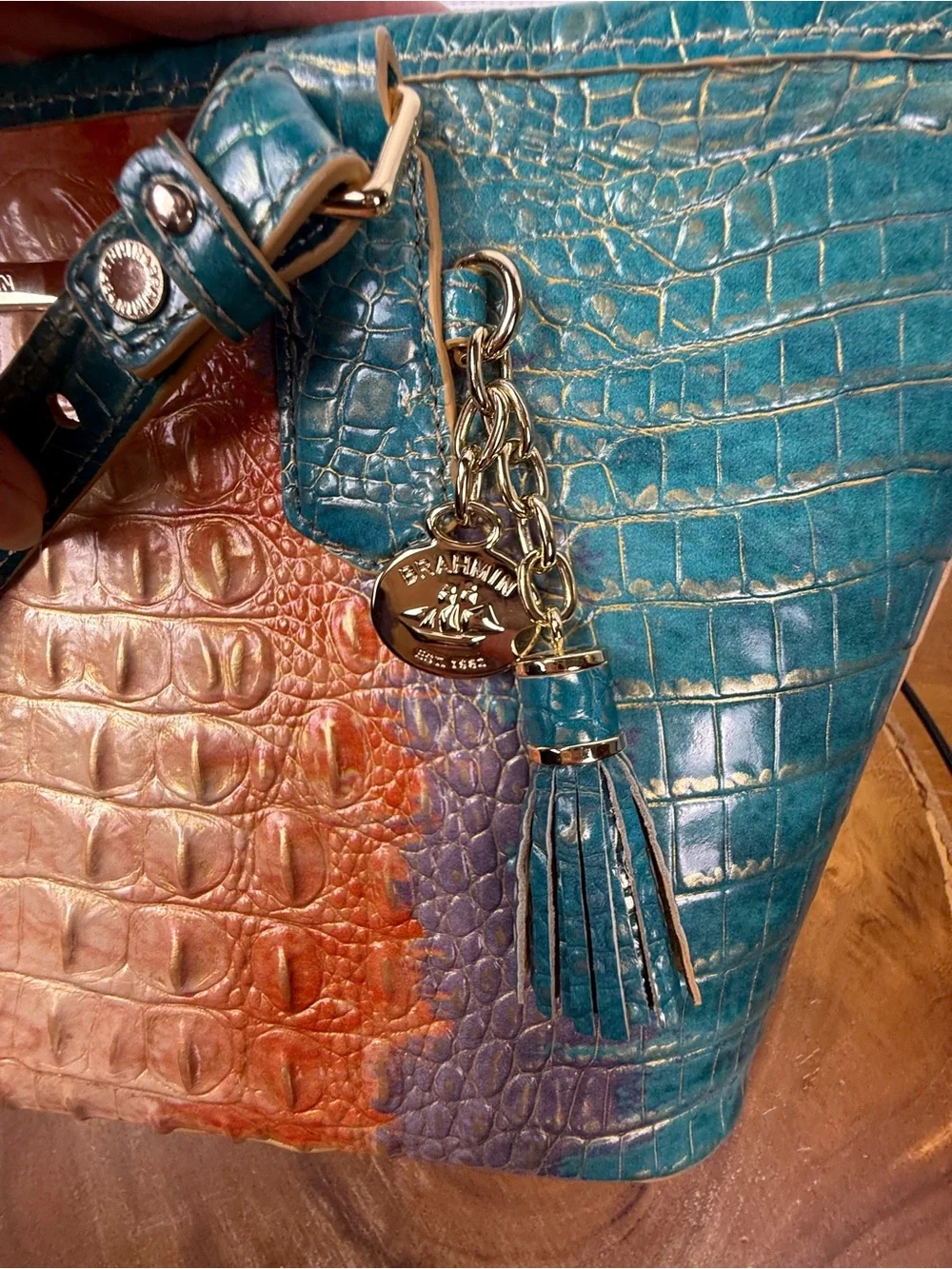 Brahmin Sundew Ombre Asher Leather Satchel Tote Shoulder Bag EUC